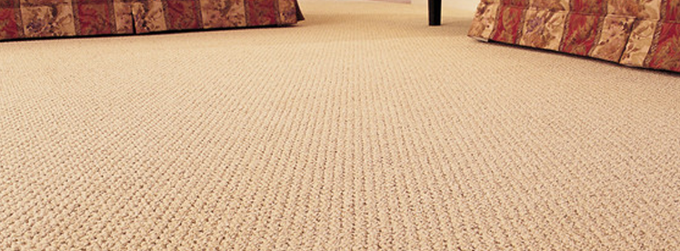 Do not replace your carpet, professional cleaning services bring new life to your carpet